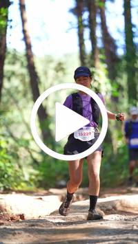 BIB:  <button type="button" onclick="openModal(26787646)" class="btn btn-primary btn-sm float-right" data-toggle="modal" data-target=".modal-high-quality">
                <i class="fa fa-download"></i> Download
                </button>